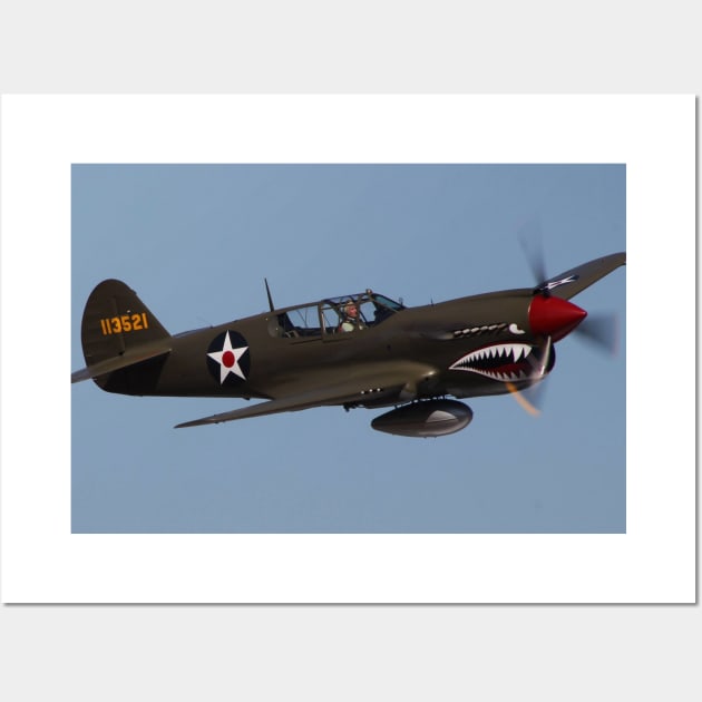 P-40 Warhawk Flying Tiger Wall Art by acefox1